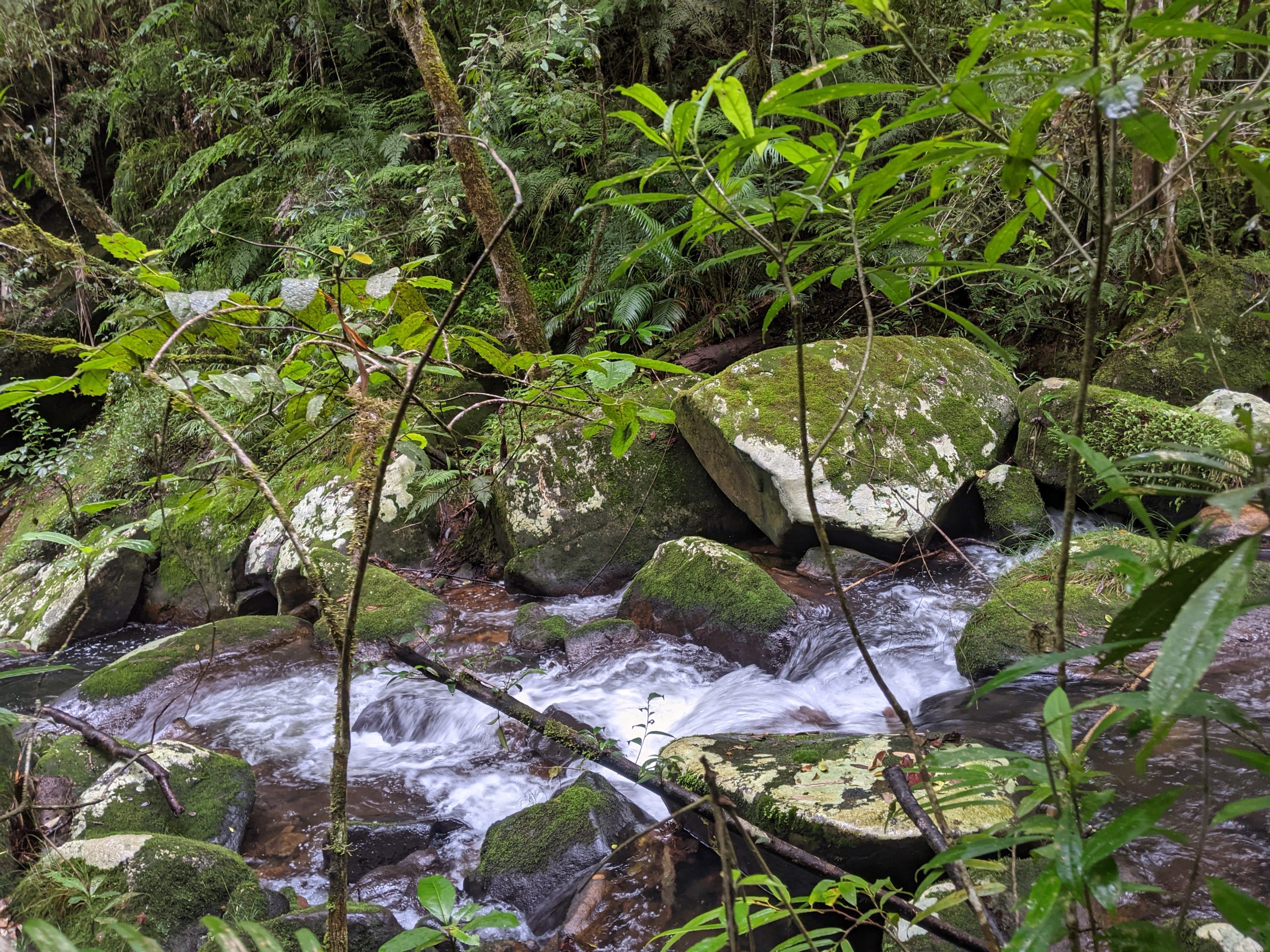 PXL_20240429_092236321