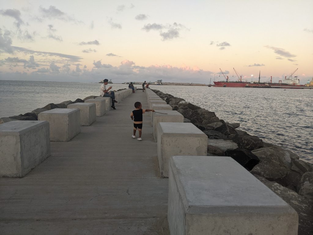 PXL_20240514_141323144